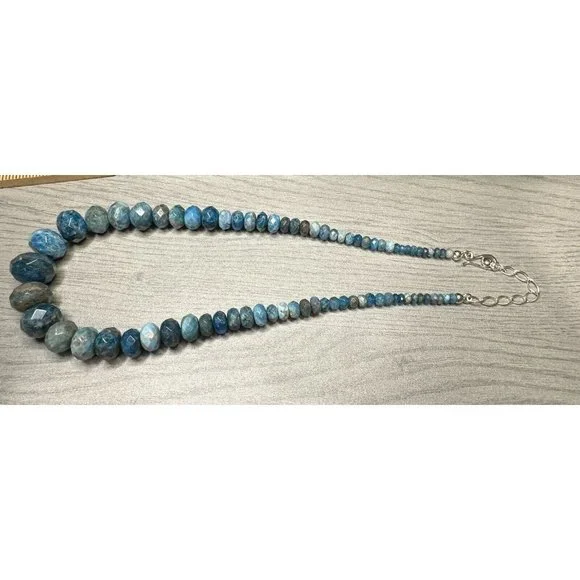 Jay King DTR Mine Finds Sterling Silver Blue Apatite Necklace & Earring Set - Picture 10 of 11